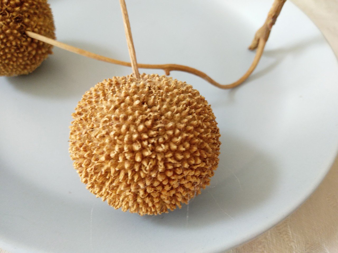 木の実のバスケット あんころもっち Note