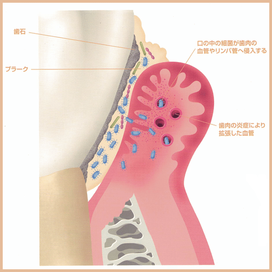 画像51