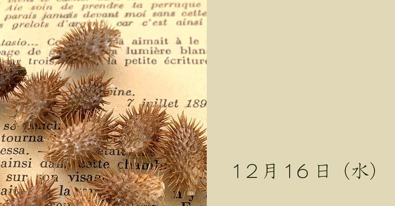 オナモミ の新着タグ記事一覧 Note つくる つながる とどける