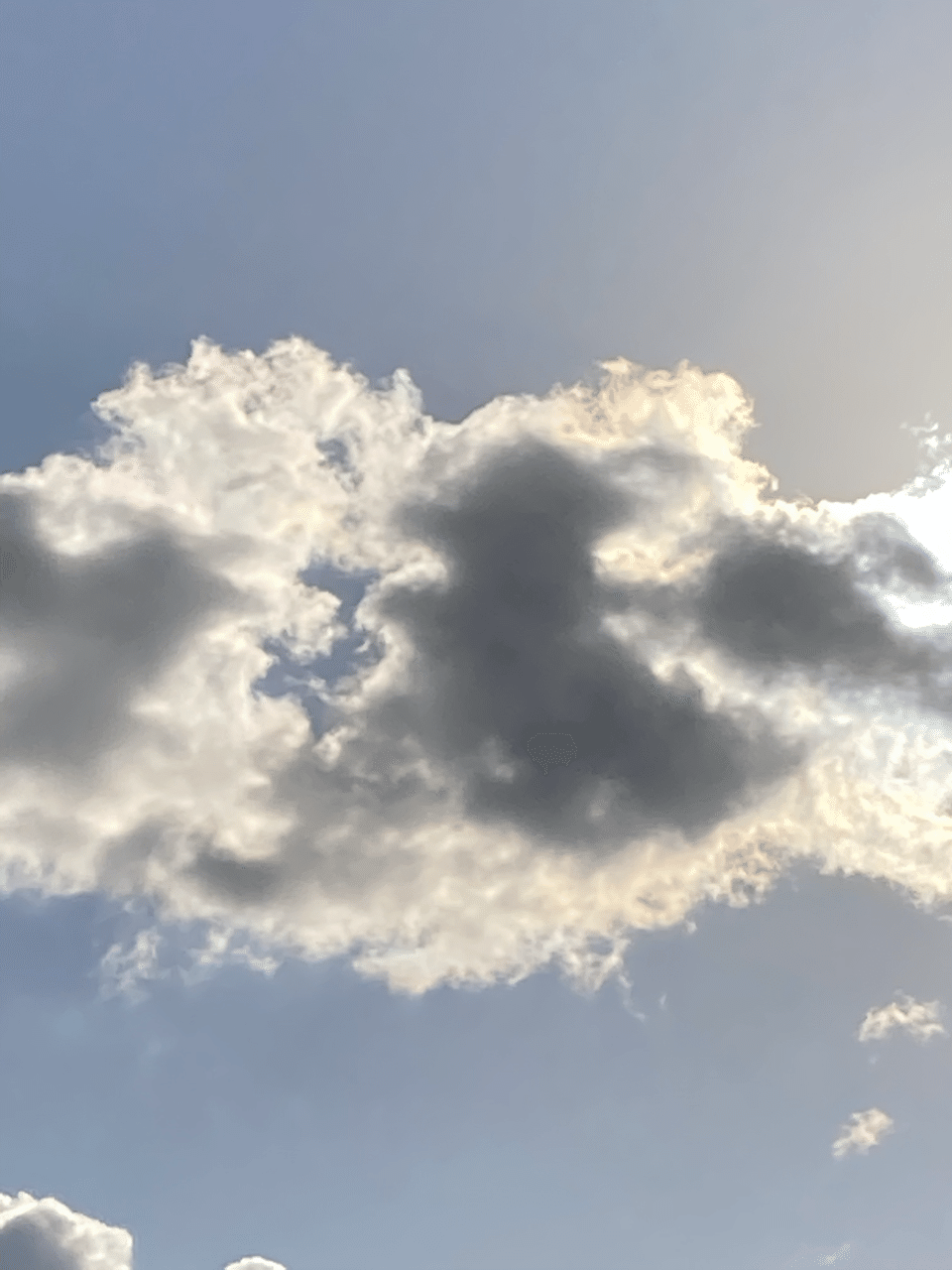 12 日 午後のベランダから空 雲 花 四国山脈にも雪 過去の今日の駄作 幼い犬 きらきらハッピーより少し切ない深い色味が残されてる 人生はそんなに楽ではない苦笑 写真日記 ハイスペ女 睡る犬 アレク石井 Note