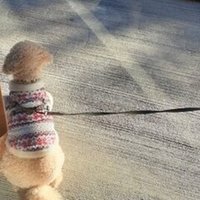 コミュ力up 相手を引き込む話し方 Tedトーク 世界最高のプレゼン術 まとめてみた 牧瀬武蔵 Note