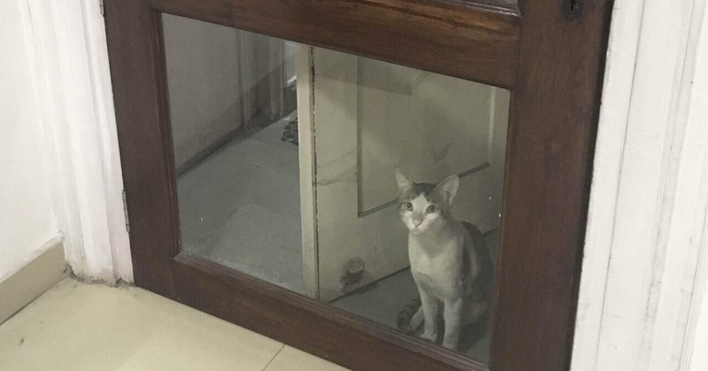 ストレスフリーなインドの職場環境 ころ Note