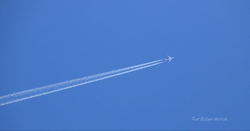 アニメ ラブライブ スクールアイドル同好会 第12話 花ひらく想い 感想 Puisque Note