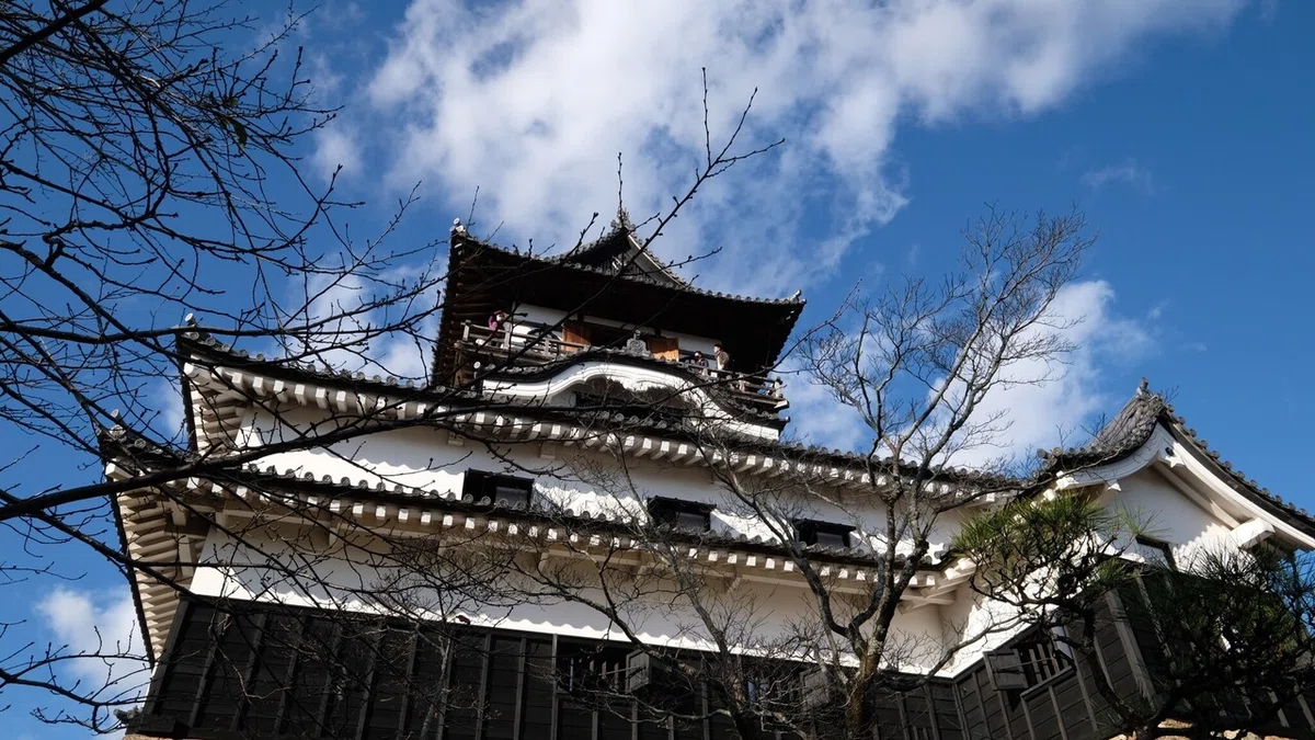 画像42