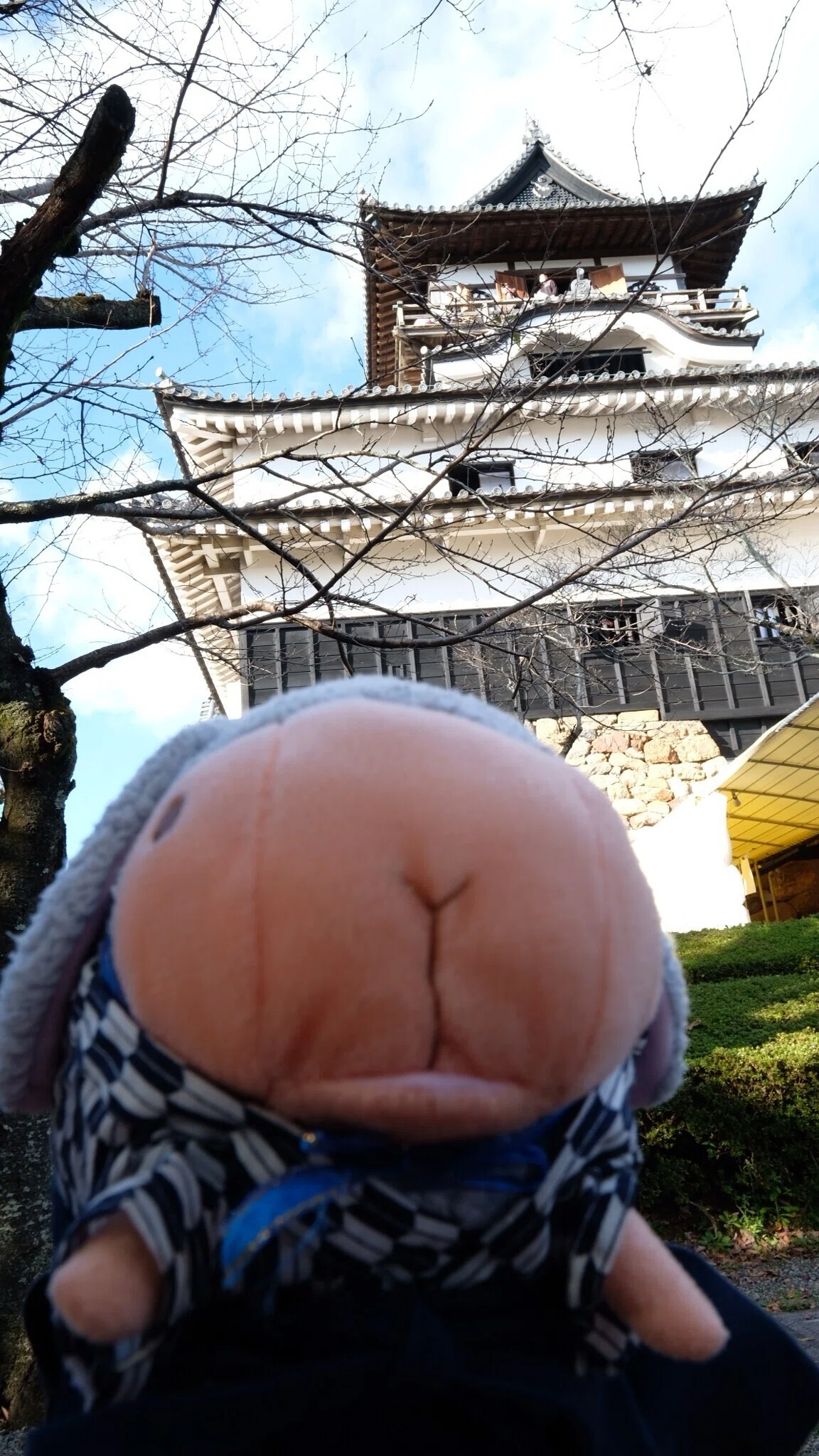 画像43