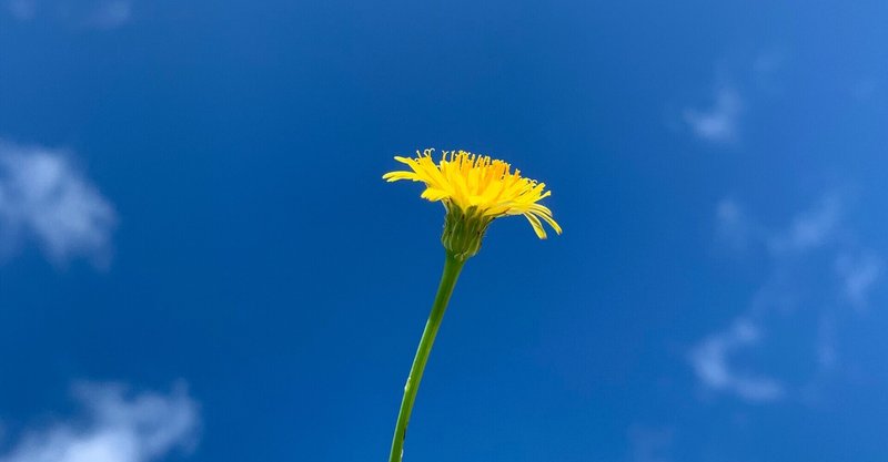 仕事中心の生活を変えようとしている