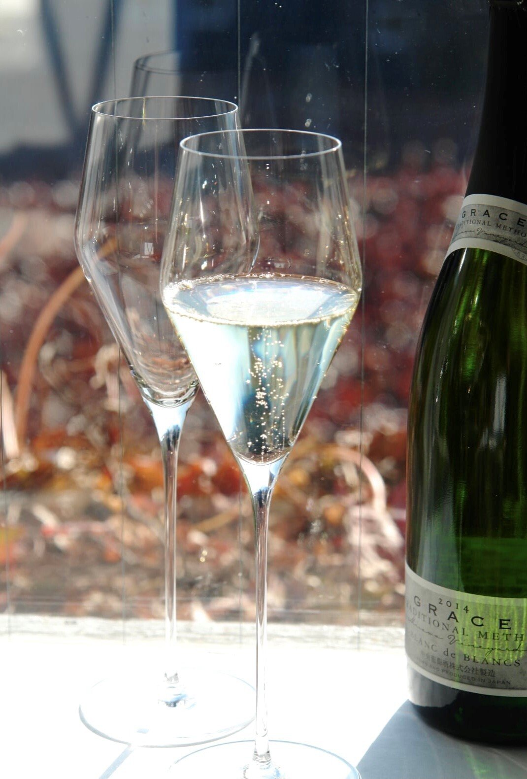 白ワイン フランス産 2014年 Dernières Grives（Grace Blanc de Blancs  