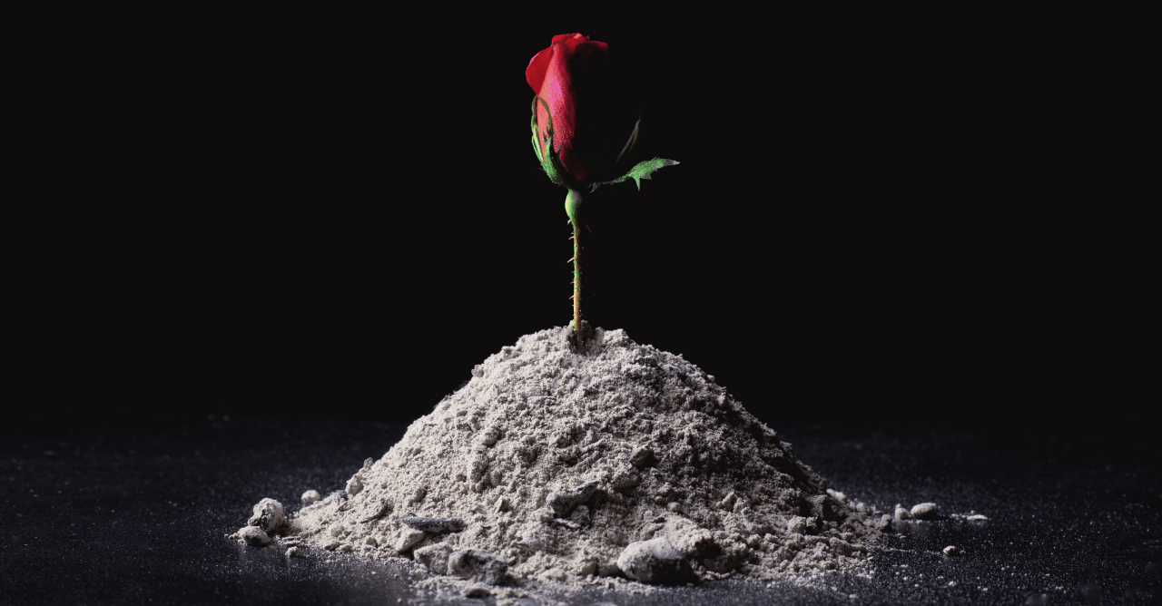 回避依存症ナルシストとは あなたを平気で傷つける理由 女性問題 満月 ミツキ 元恋愛依存症 Note