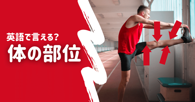 体の部位 の新着タグ記事一覧 Note つくる つながる とどける