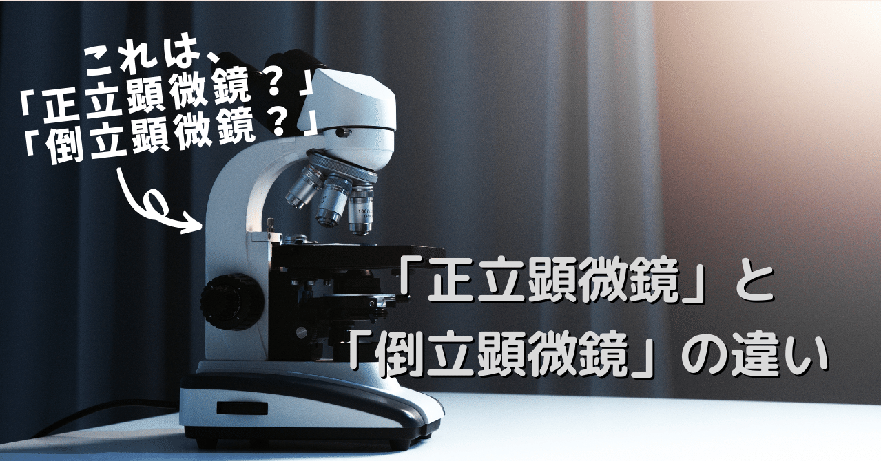 正立顕微鏡 と 倒立顕微鏡 の違い Eiko Programming Note