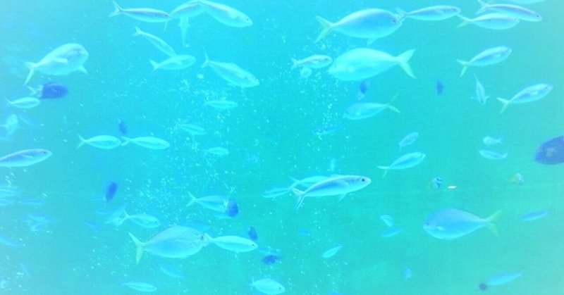 同い年の深田恭子さんにハマっている理由 aya あやはる note