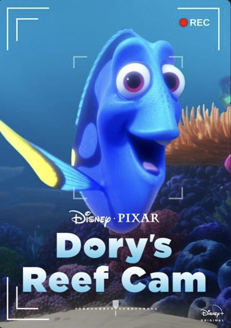 Dory S Reef Cam ドリーとサンゴ礁の世界 Eigadays Note