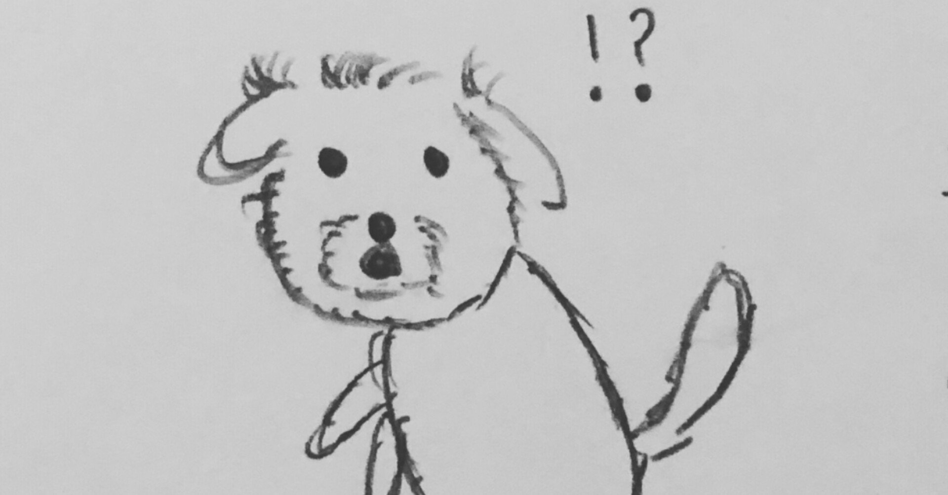 愛犬の名前を間違えて呼んでしまったら 三浦三崎 Note 愛犬の名前を間違えて呼んでしまったら 三浦三崎 Note