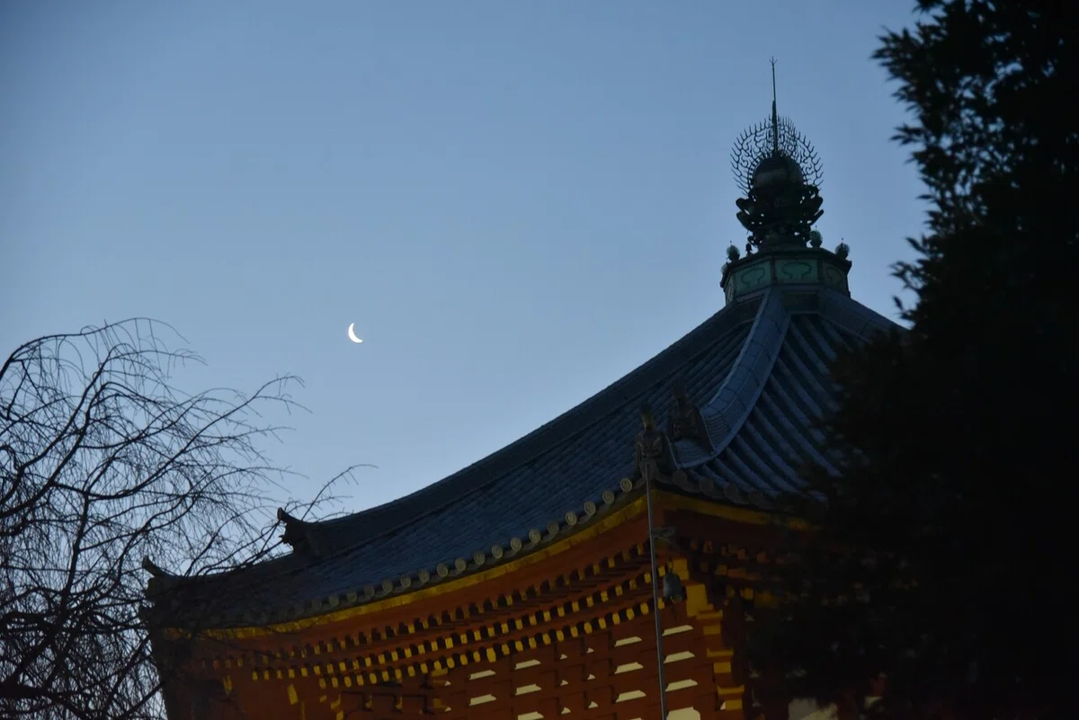 画像10