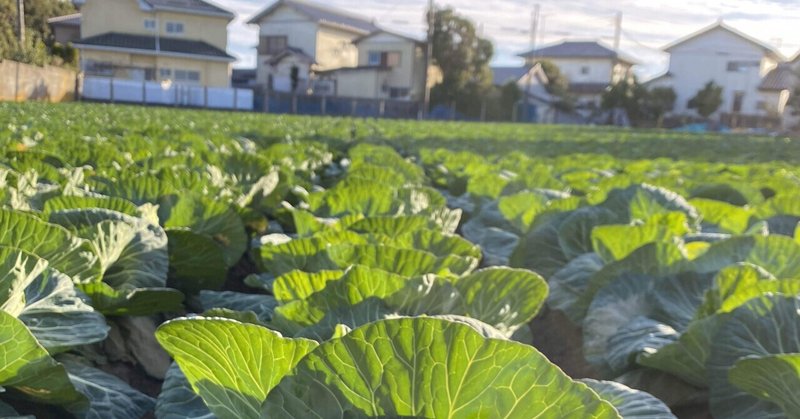 地方で働く編集者が 着地型観光 を考察する 着地型観光を成功させるための必要な要素とは やまけん Note