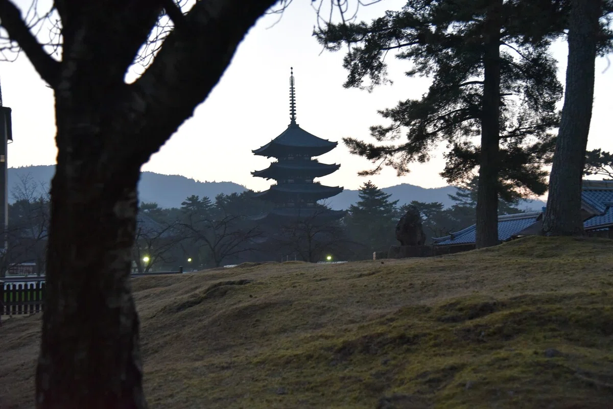 画像16