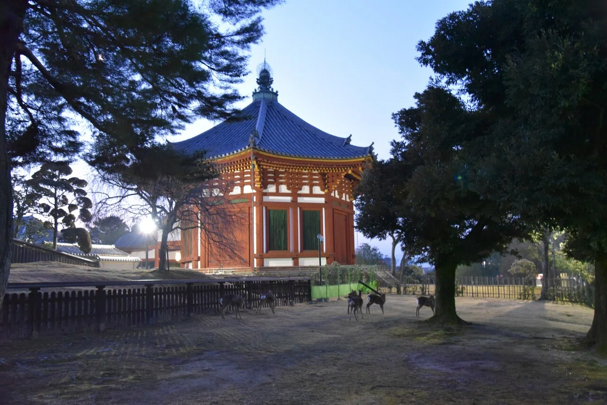 画像17