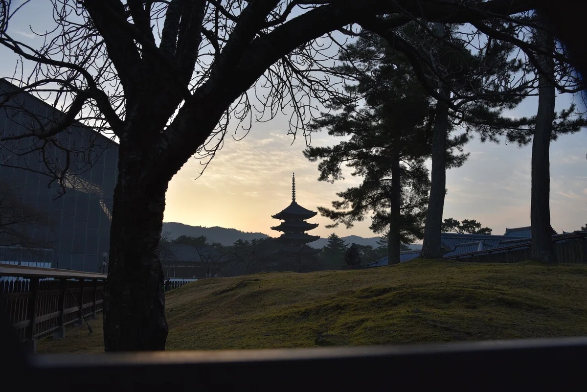 画像18