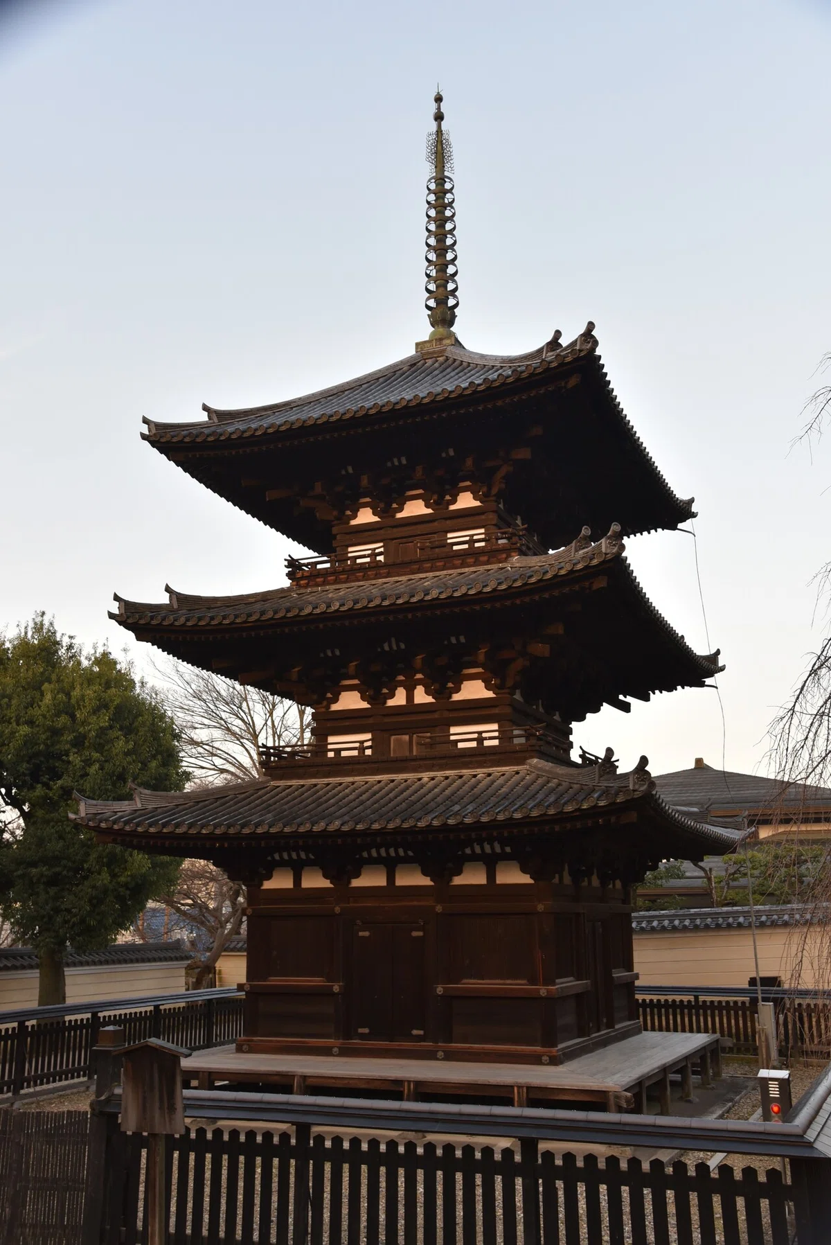 画像19