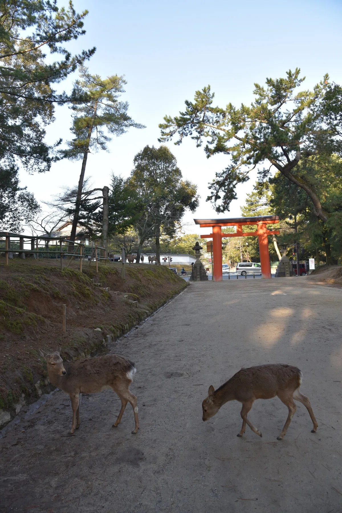 画像21