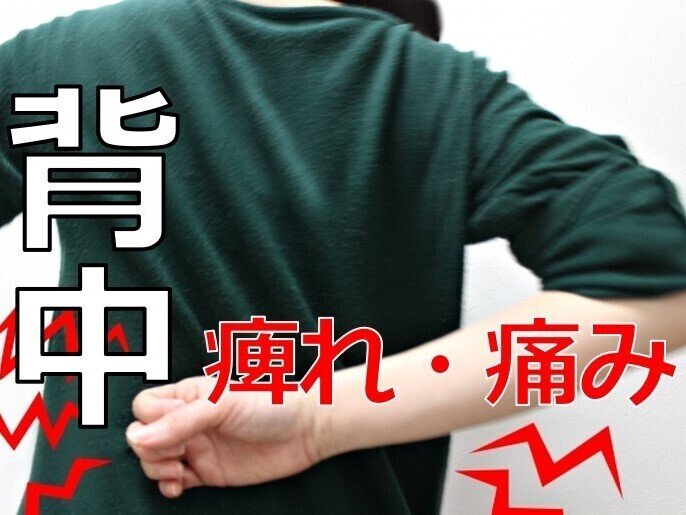背中の痛み 痺れ 張りは血行不良が原因 長時間同じ姿勢や睡眠時の寝返りの数が少ない方は血行不良を起こし 背中に症状を訴える方が多い傾向にあります 血行促進を意識することで背中の痛みや張り 痺れ 日々の なんとなく不調 を すこぶる好調 に 足利市