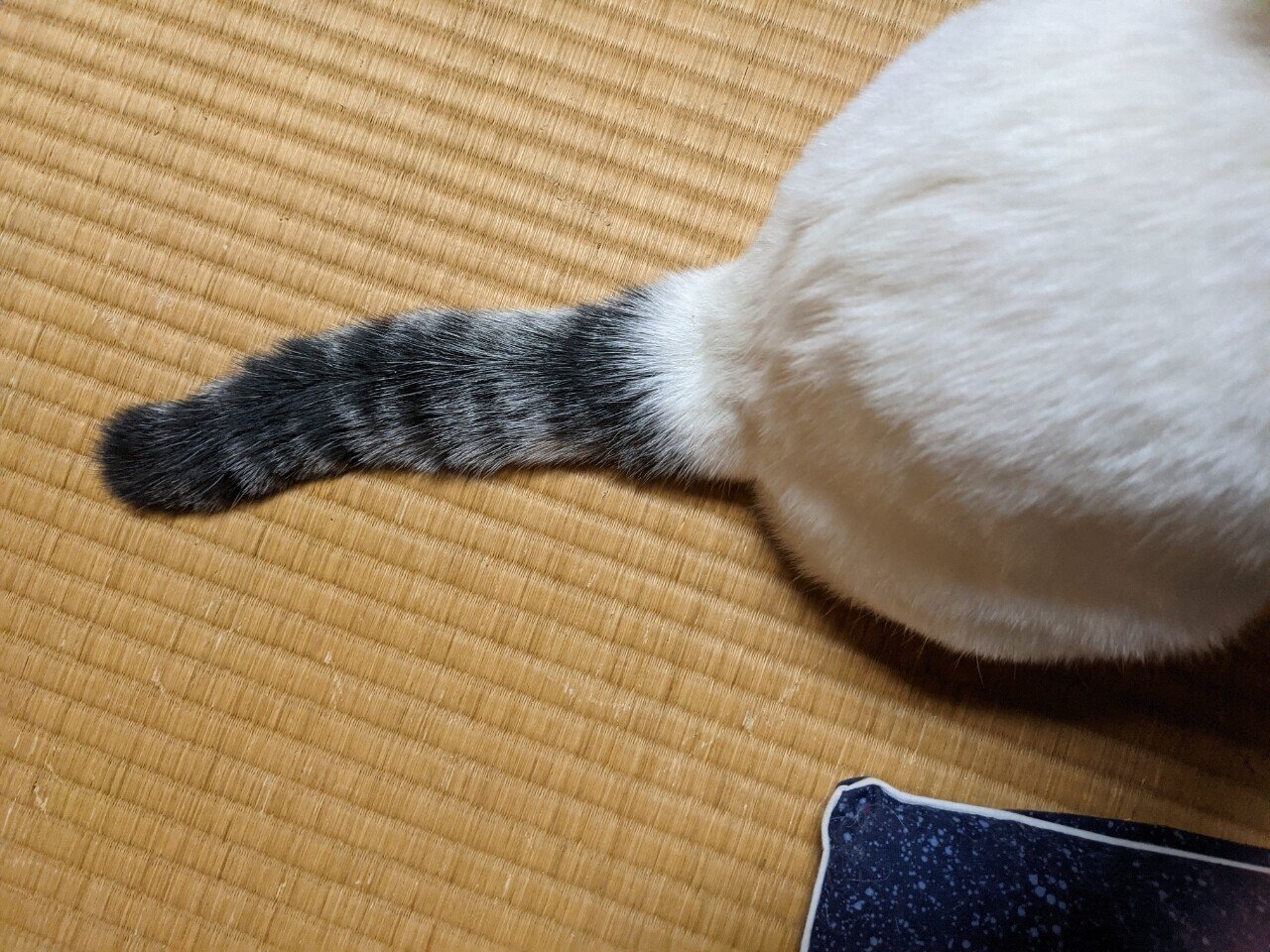 Assets St Note Com Production Uploads Images 41