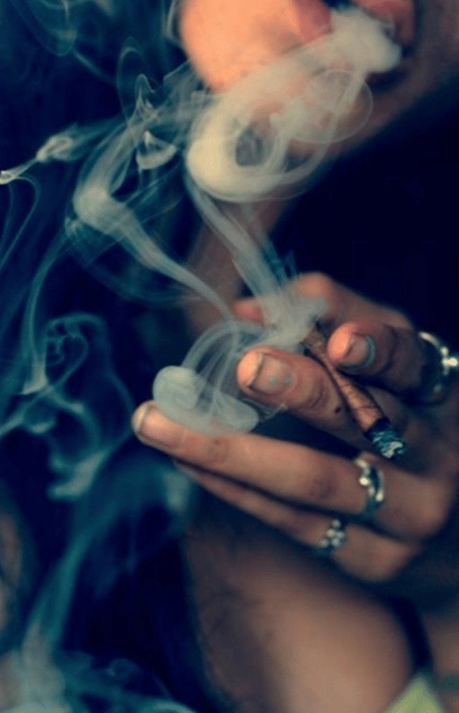 ニルドーシュの効果について アーユルヴェーダの観点から考察 Organicsmoke Note