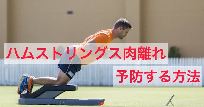 絶対避けたい ハムストリングスの肉離れの予防について さかもと 陸上競技トレーナー Note 絶対避けたい ハムストリングスの肉離れの予防について さかもと 陸上競技トレーナー Note