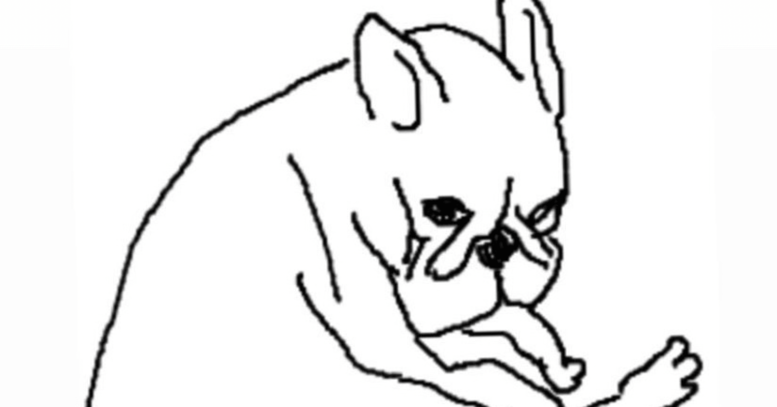 犬の死と向き合ったときのこと 野花 Note