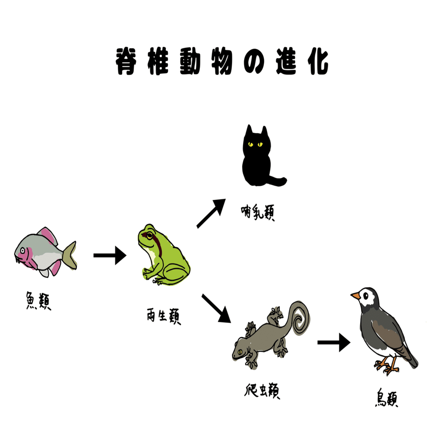 Amazon.co.jp: 図説アフリカの哺乳類 その進化と古環境 : Alan