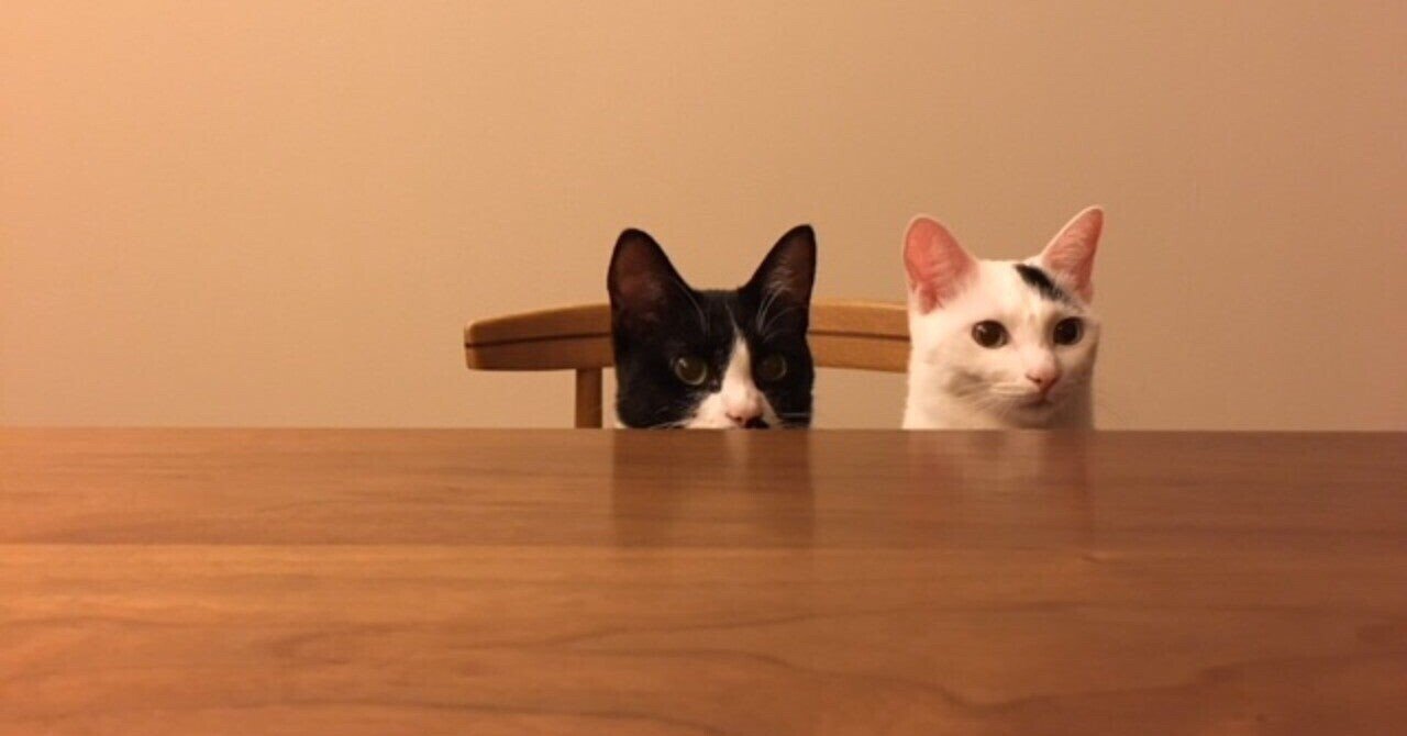 世界転位行動選手権 なぜ猫 Note