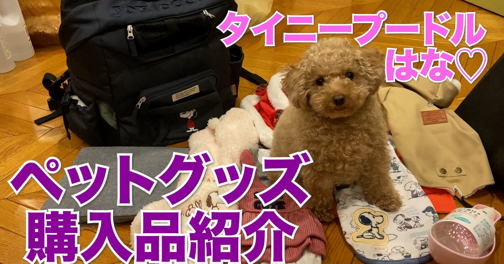 ペットグッズ購入品紹介 タイニープードルのはな Note ペットグッズ購入品紹介 タイニープードルのはな Note