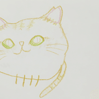 猫の堕胎 中絶 ナカタ アサミ Note 猫の堕胎 中絶 ナカタ アサミ Note