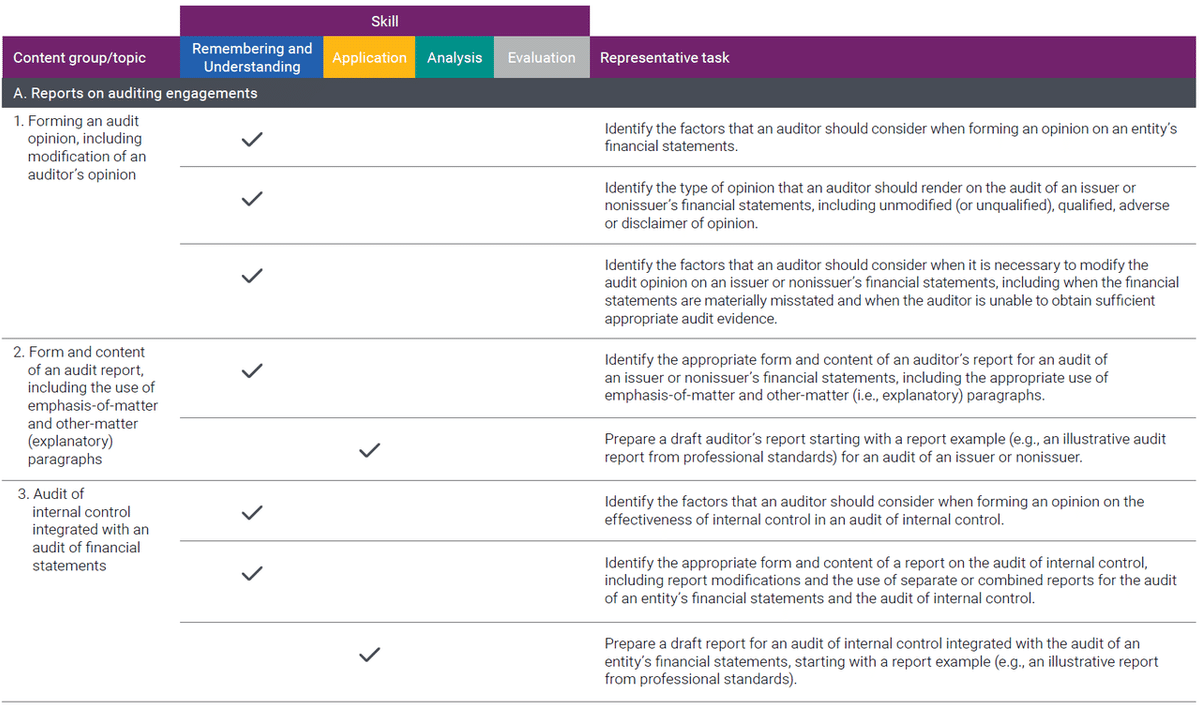 値下げ　未使用 USCPA AUD Ver6 TAC Audit Report集 USCPA AUD Audit reportひな形集 | かえる's Store