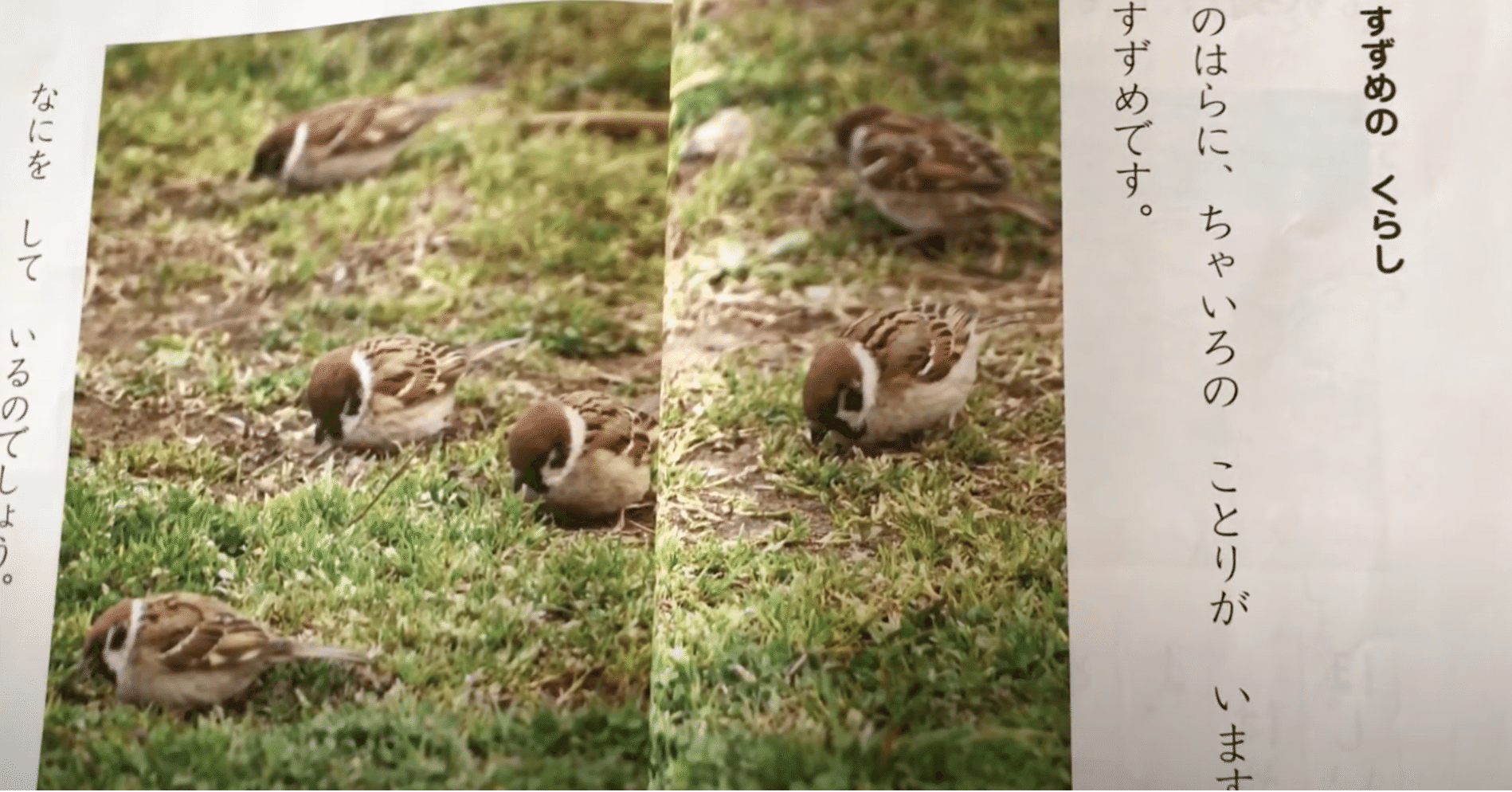 df0adb74b4de0ee340757cc8283d8b