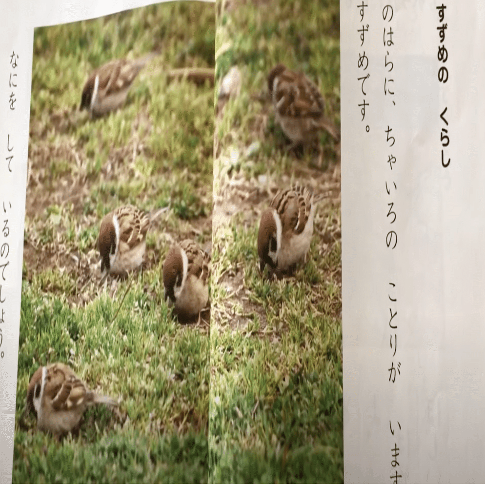 すずめページ すずめのスズちゃん｜GRAND DESIGN LTD.