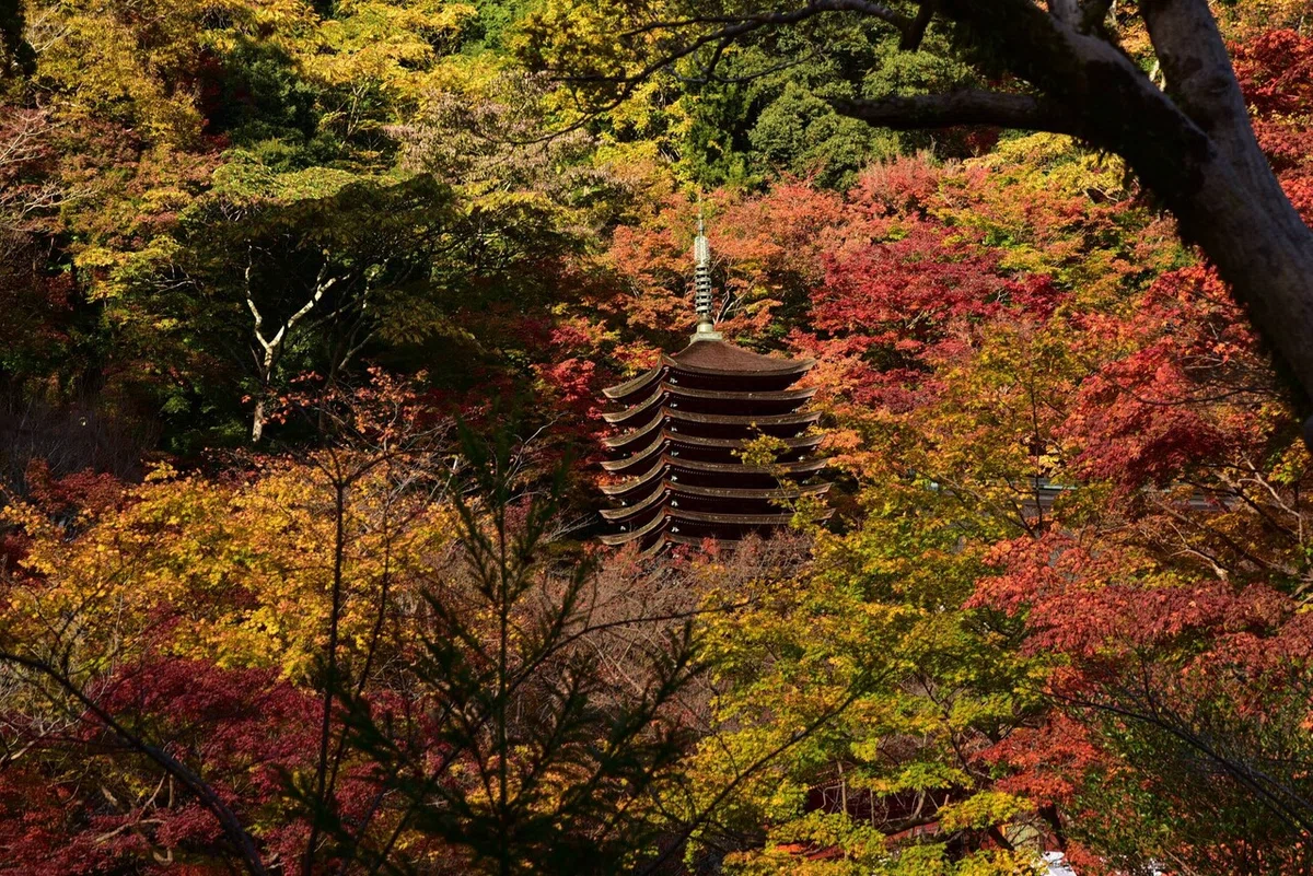 画像27