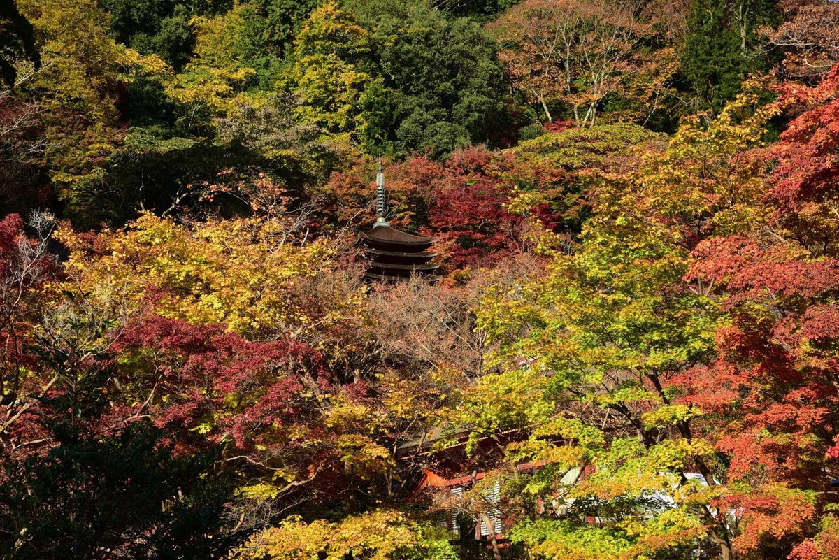 画像28