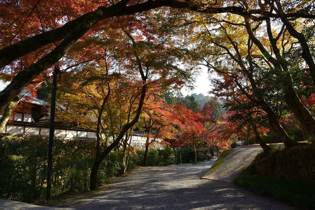 画像30