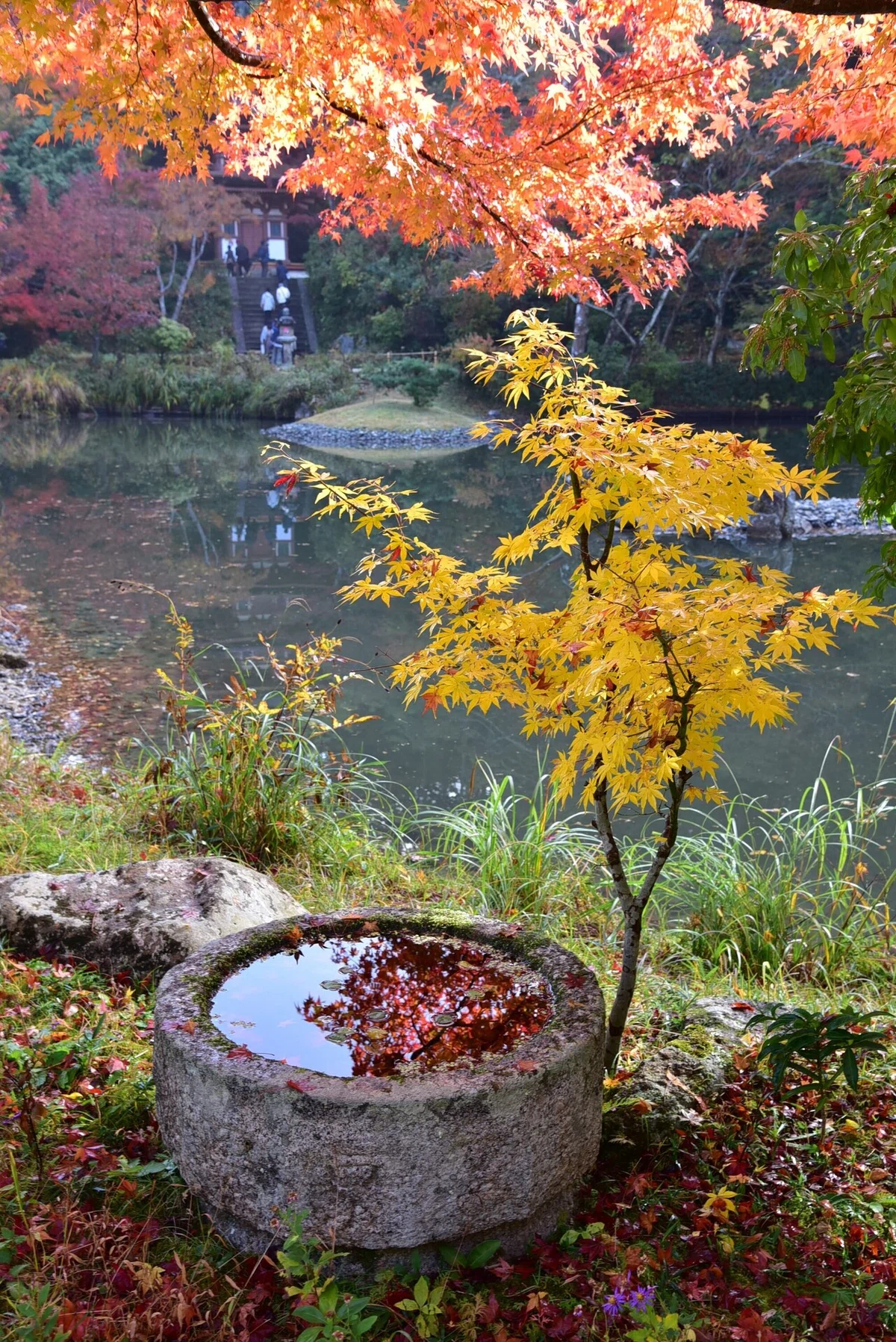 画像34