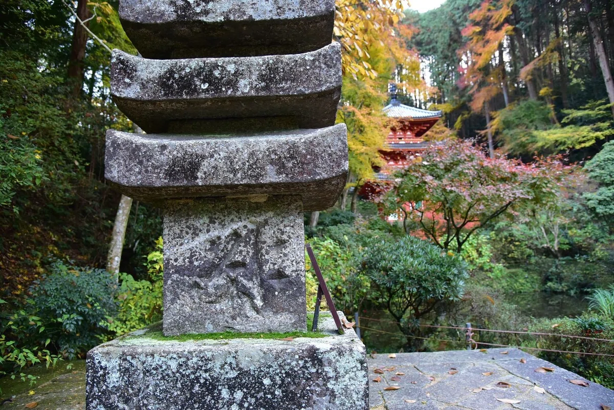 画像36