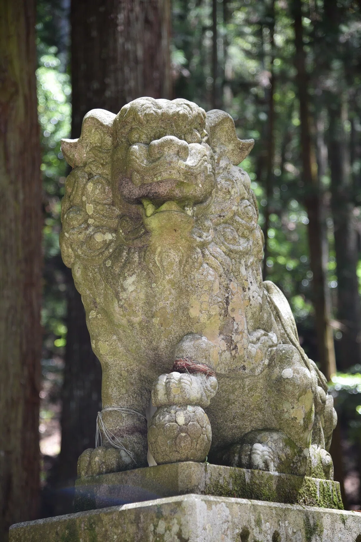 画像37