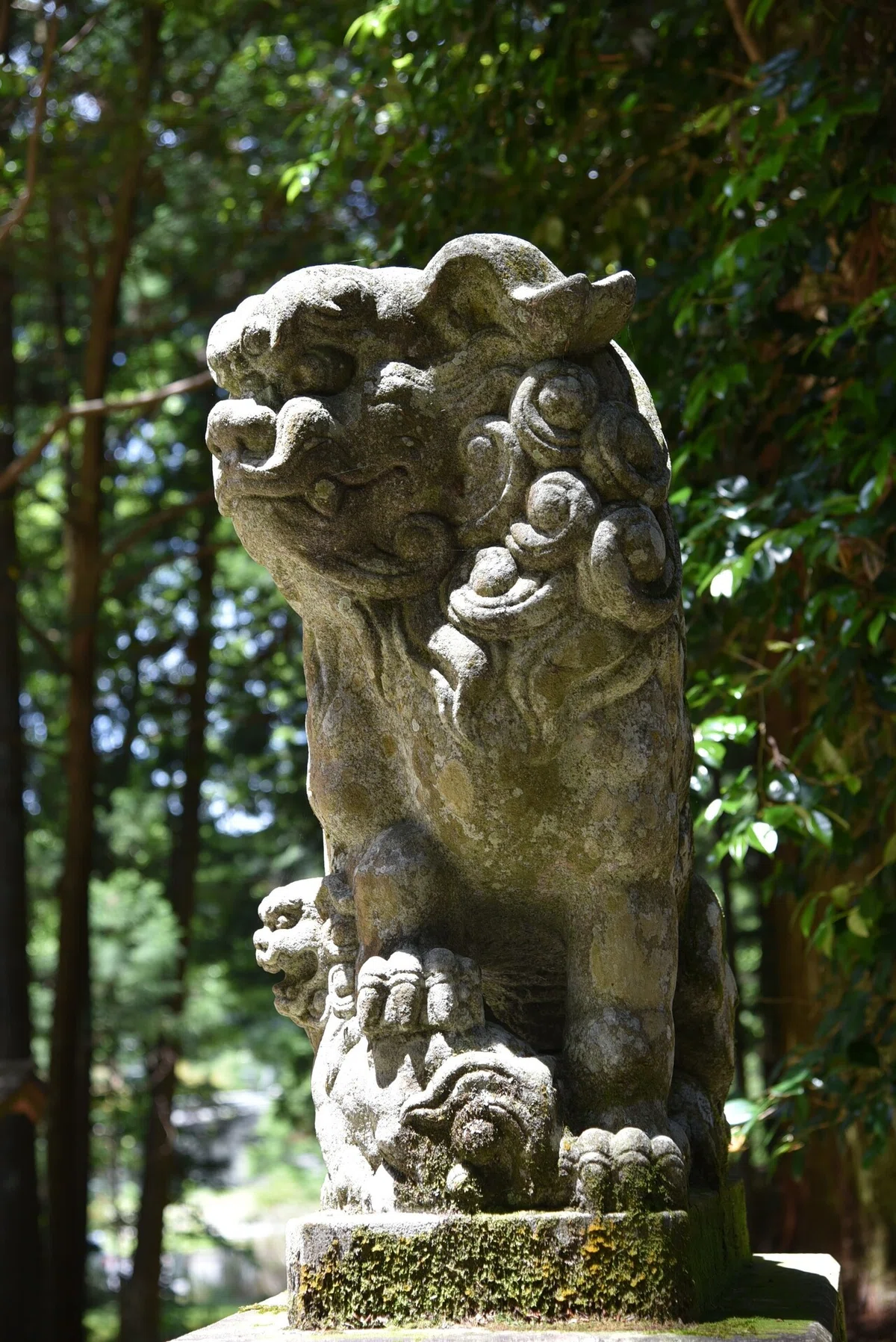 画像38