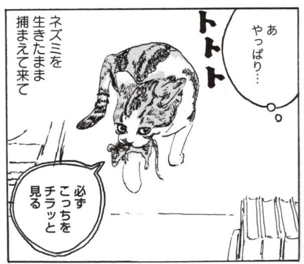 カボチャの冒険 五十嵐大介 めちゃくちゃ可愛いネコと めちゃくちゃ美しい日本の風景 野上がの Note カボチャの冒険 五十嵐大介 めちゃくちゃ可愛いネコと めちゃくちゃ美しい日本の風景 野上がの Note