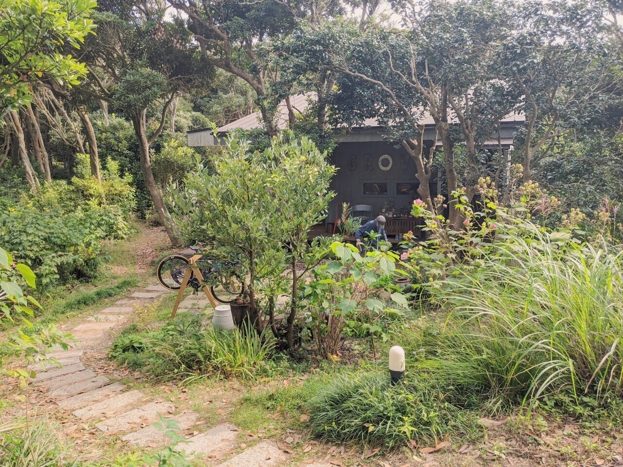 千葉県富津市 ペット可 海近くの森の中にある隠れ家カフェグローブ Cafe Grove Haco Note 千葉県富津市 ペット可 海近くの森の中にある隠れ家カフェグローブ Cafe Grove Haco Note