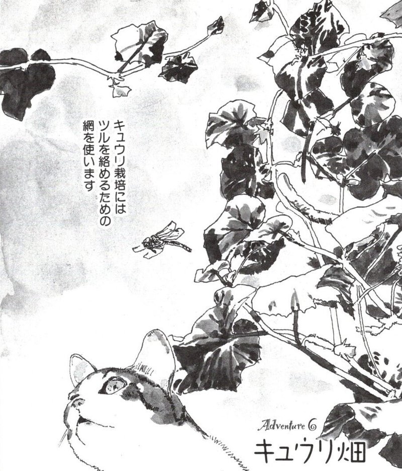 カボチャの冒険 漫画 五十嵐大介 カボチャの冒険 漫画 五十嵐大介