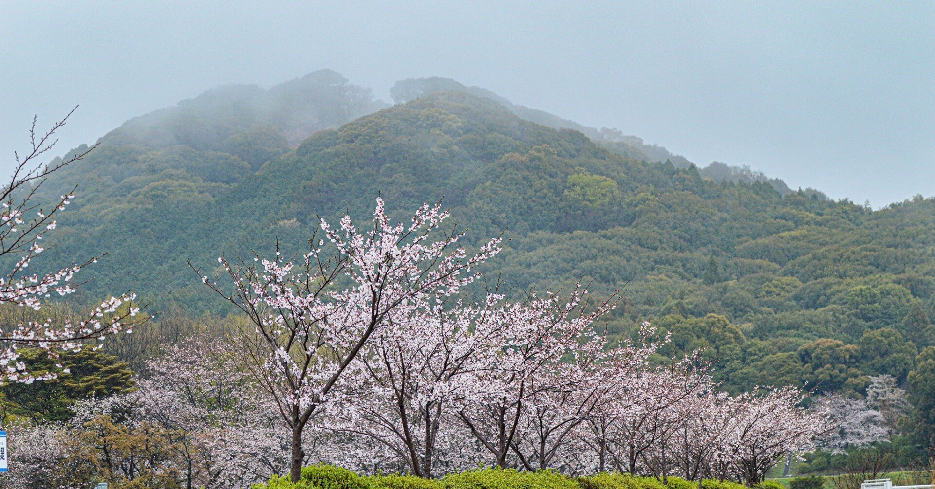 花立山は星への祈り くろさん Note