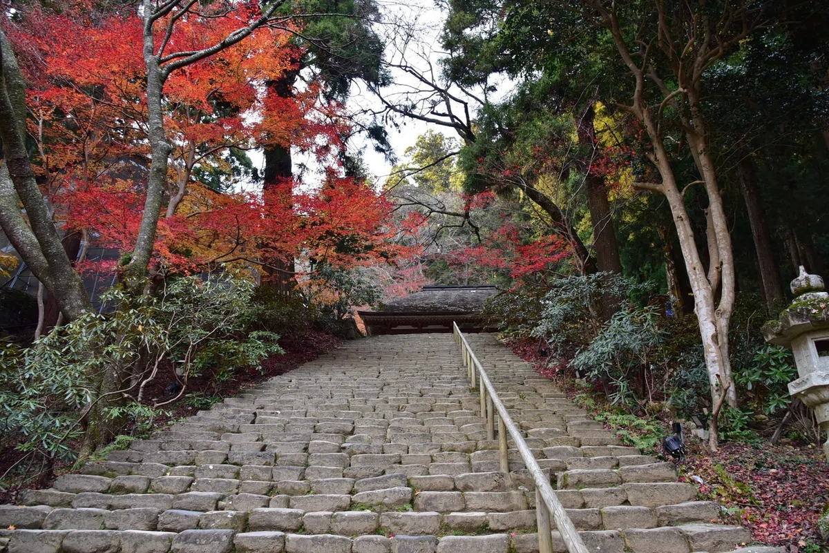 画像45