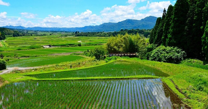 はじめまして 三洋堂です Sanyodo Note