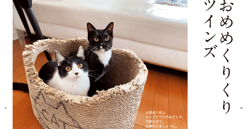 保護猫マルオレちゃんと藤あや子さんの本ができました！